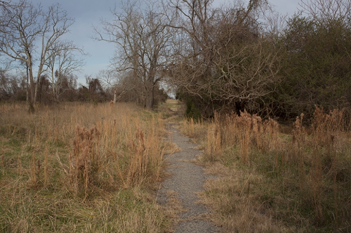 A path through what was once Slabtown, Yorktown, VA, December 31, 2012