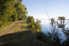 End of the Washington Ditch trail, Lake Drummond, Great Dismal Swamp, Suffolk, VA, October 20, 2013