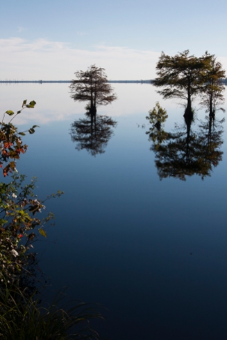 Lake Drummond, Great Dismal Swamp, Suffolk, VA, October 20, 2013